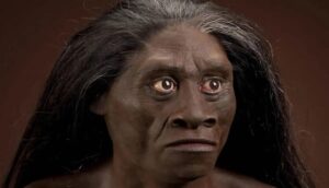 Read more about the article फ्लोरेस मानव (Homo floresiensis)