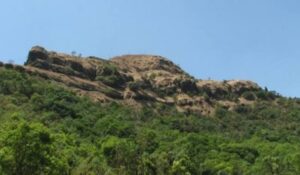 Read more about the article मकरंदगड (Makarandgad)