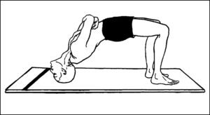Read more about the article ग्रीवासन (Grivasana)